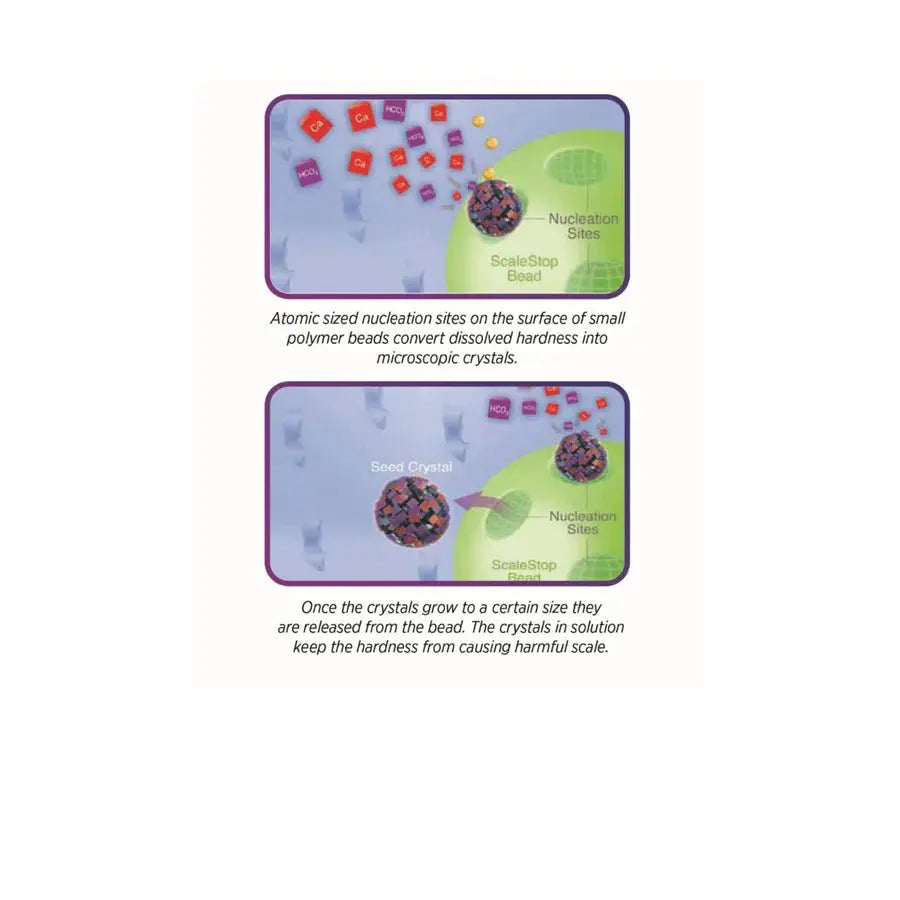 Protector XC & Alka75 - Clean River Water Store