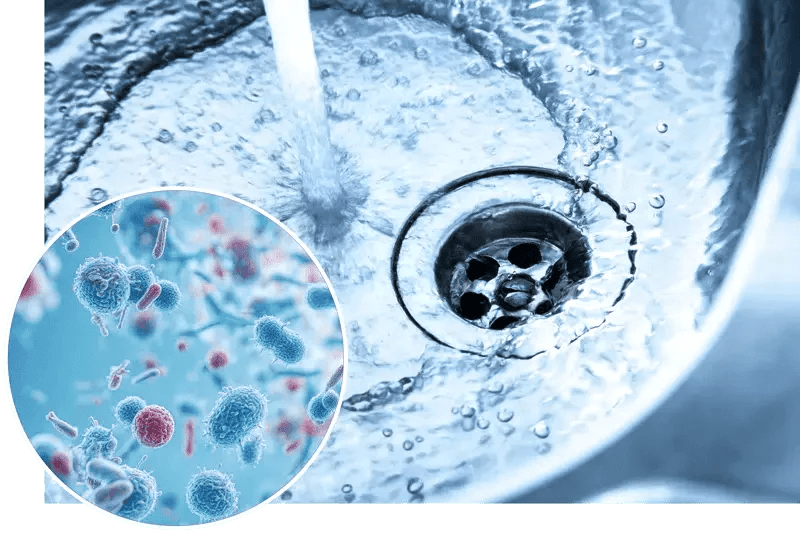 Tap Water Risks: Understanding Microbial Contamination and Safety - Clean River Water Store