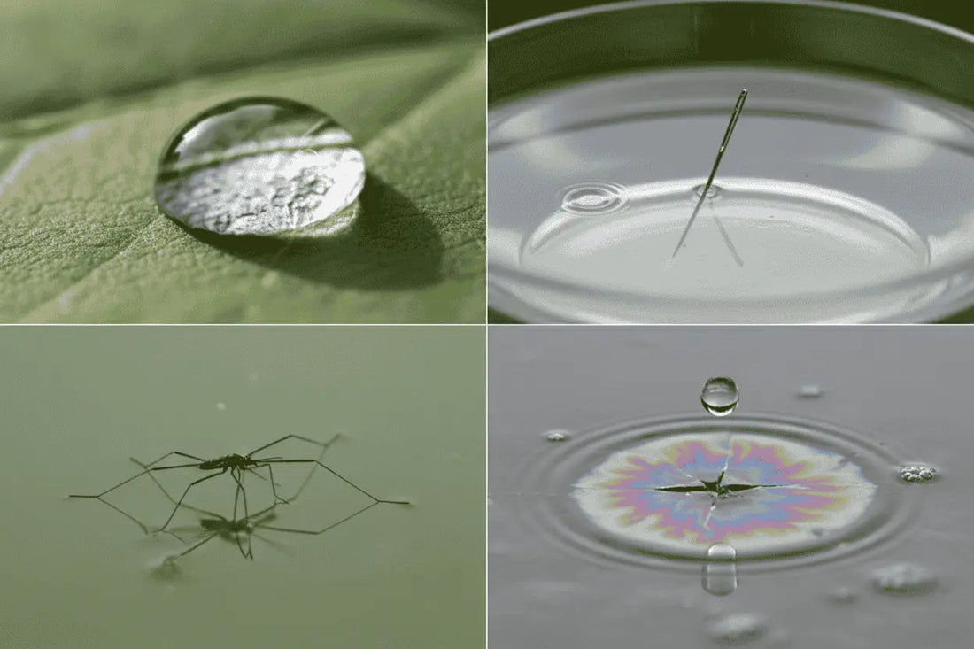 Understanding the Surface Tension of a Liquid: Cohesion, Adhesion & Physics Explained - Clean River Water Store